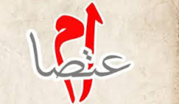رابطة الأساتذة المتعاقدين في التعليم الأساسي اعتصمت امام وزارة التربية احتجاجا على وقف دفع بدل الانتاجية