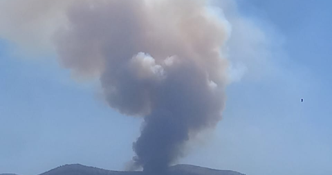 حريق كبير بين جزين ونيحا والدفاع المدني يحاول إخماده