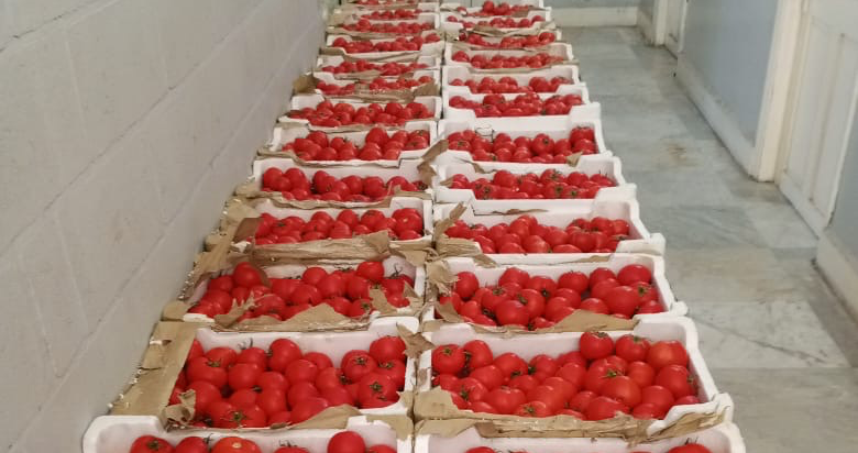 ضبط كميات من البندورة والألبسة المهرّبة