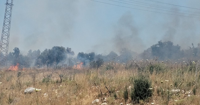 حريق في بساتين للزيتون المعمر في بيت الحوش - عكار وصعوبة في إخماده والاهالي ناشدوا قيادة الجيش المساعدة