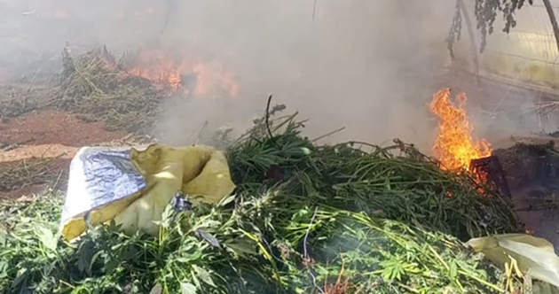 الجيش: إتلاف مساحة مزروعة بالحشيشة في حوش تل صفيه وإيعات وتوقيف مواطنين في البقاع وكترمايا لتورطهما في الإتجار بالمخدرات